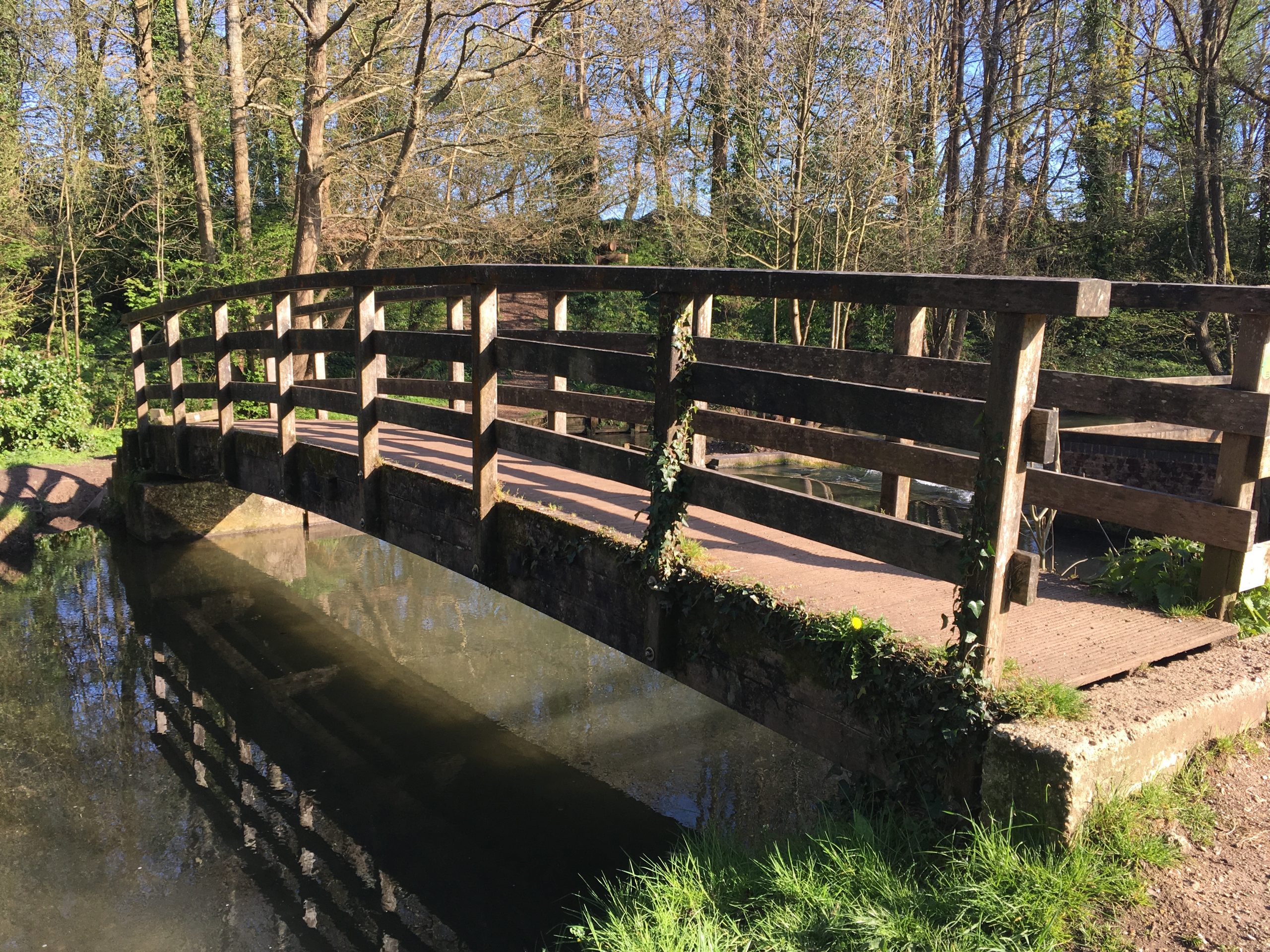 Wickham Water Meadows Bridge